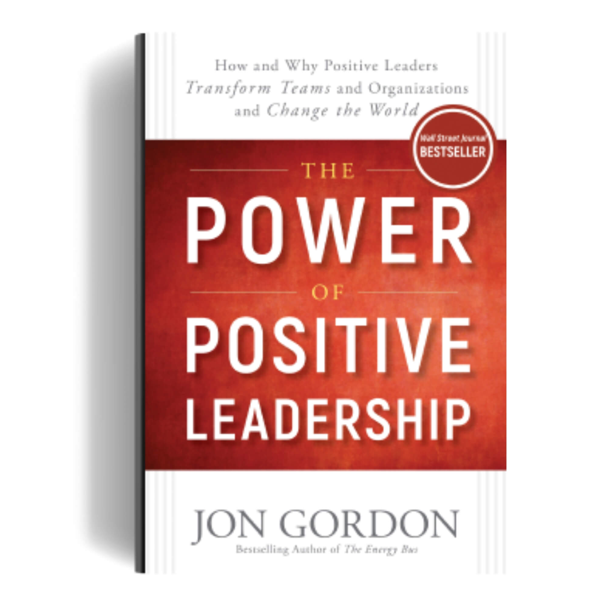 The Power of Positive Leadership​